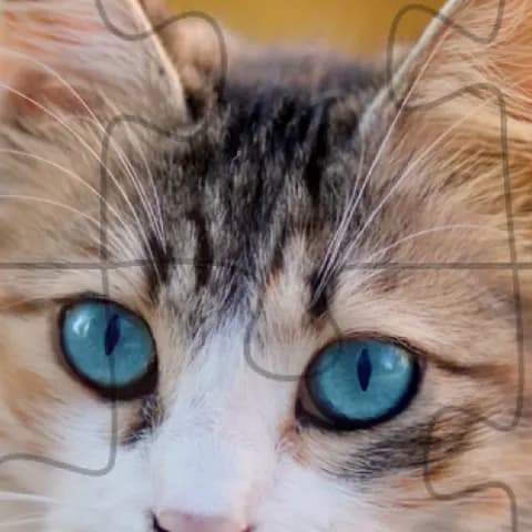 Biểu tượng Cat Jigsaw Puzzle trên cửa hàng ứng dụng: khuôn mặt mèo cắt thành các mảnh xếp hình